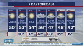 NYC weather forecast