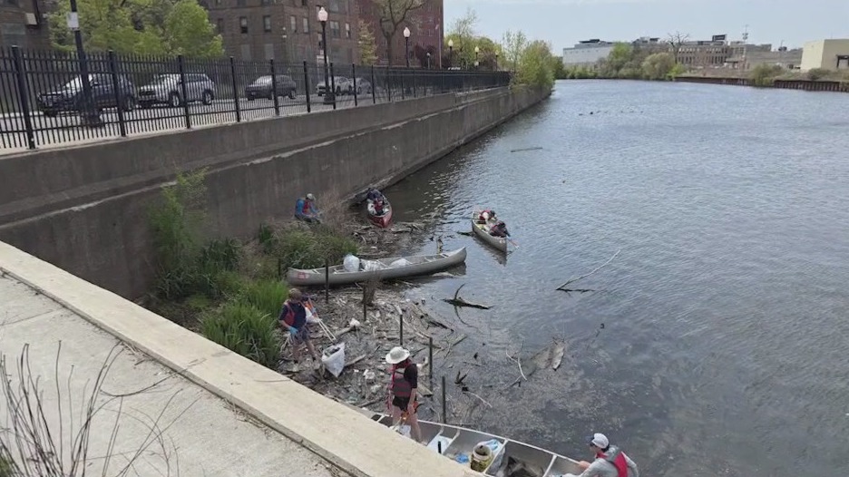 'Chicago River Day' shows progress with less trash, more wildlife