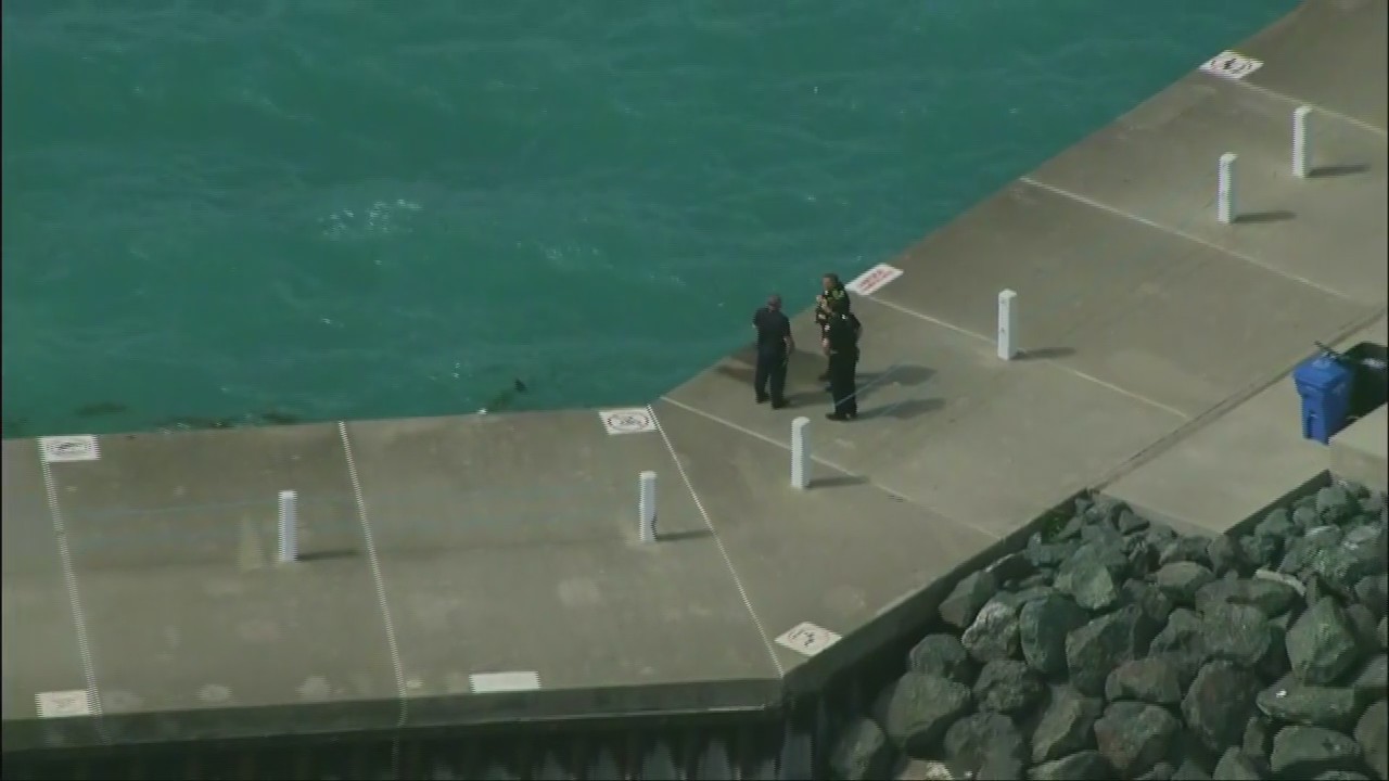 Person pulled from Lake Michigan unresponsive at 31st Street Beach