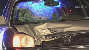 Chicago hit-and-run crash leaves man, 75, dead and woman in custody