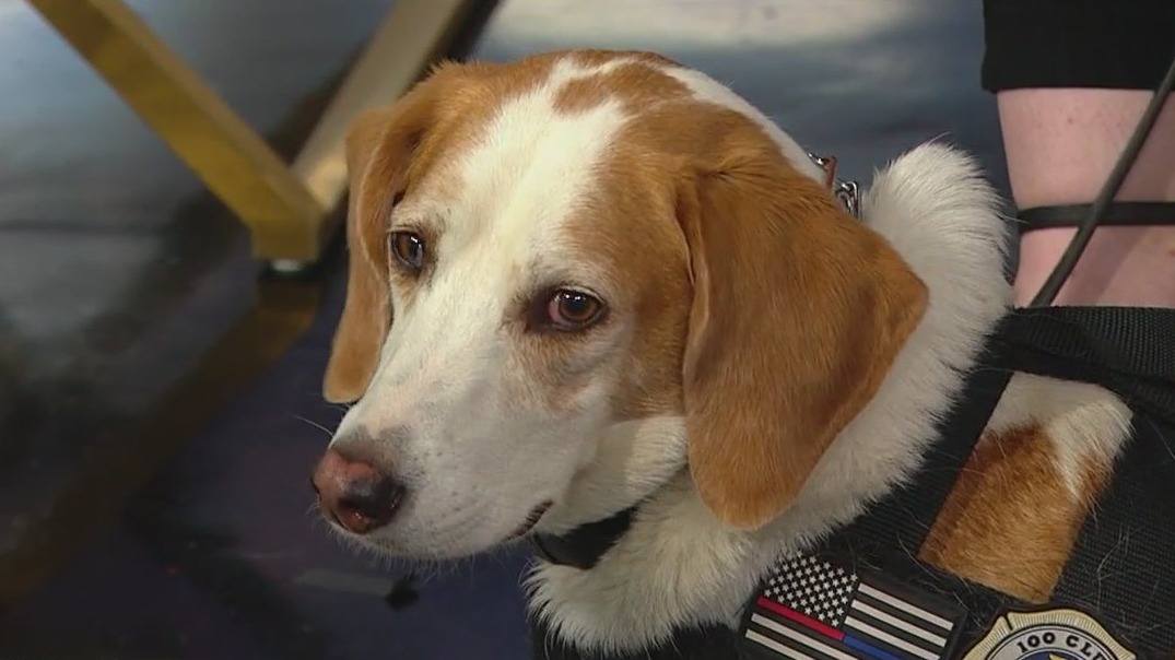 100 Club of Illinois honors first responders during National Police Week