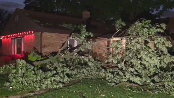 Chicago-area residents clean up after strong storms down trees, knock out power