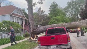 Powerful winds push through Chicagoland, leaving behind some damage