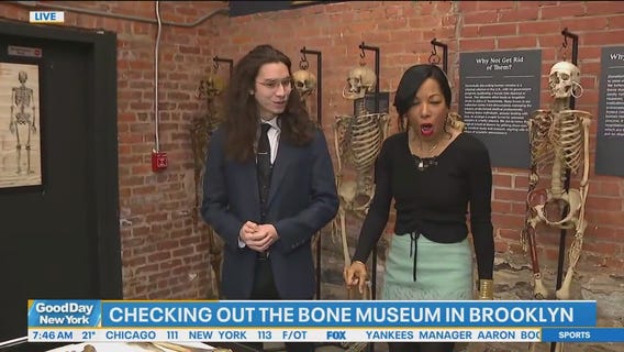 The Brooklyn Bone Museum