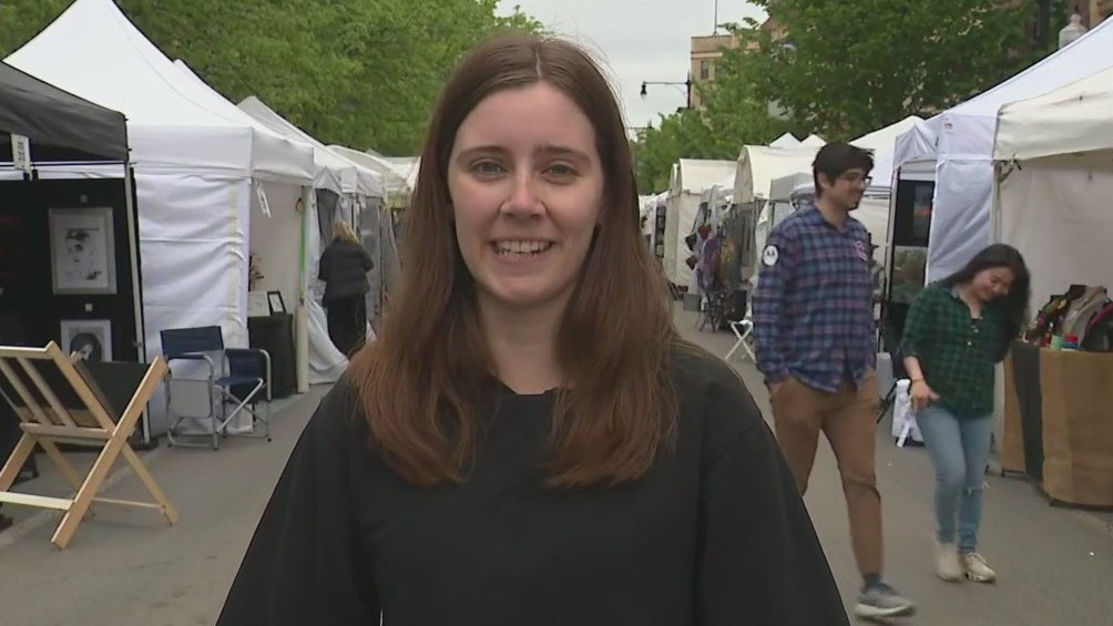 Lincoln Roscoe Art and Craft Fair features nearly 100 local artists