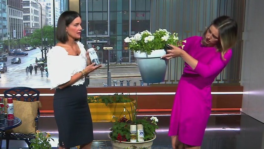 Do It Yourself: Tips on how to spruce up your outdoor space