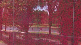 USAA Poppy Wall of Honor remembers fallen heroes