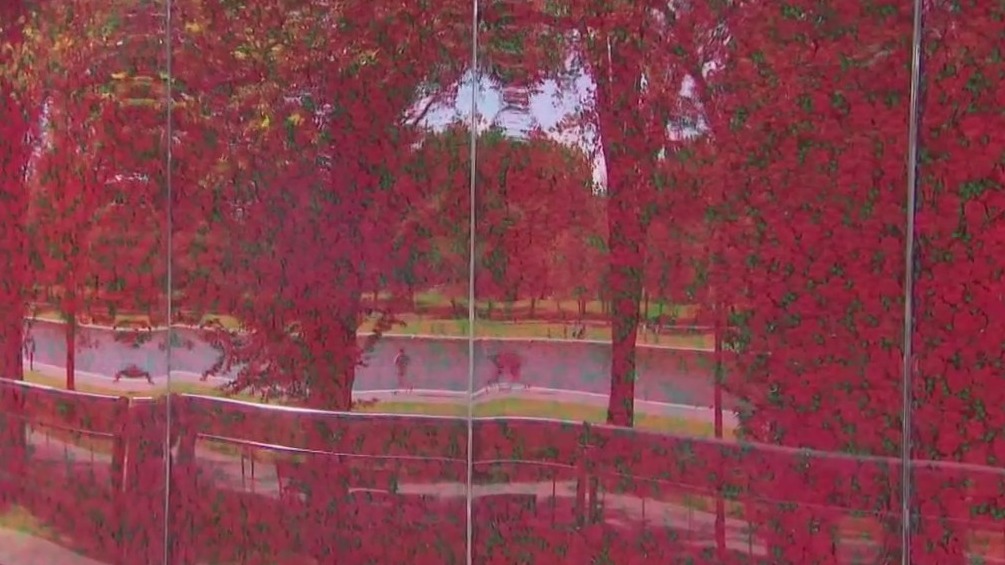 USAA Poppy Wall of Honor remembers fallen heroes