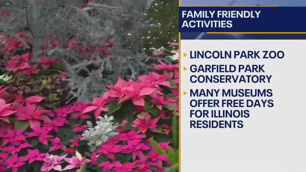 Free and fun things to do this summer in Chicago