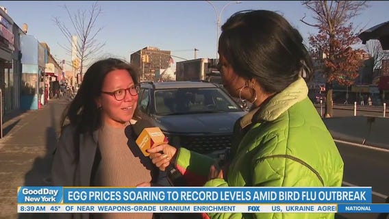On the hunt for the best egg prices across NYC