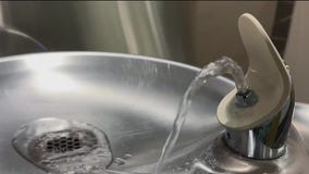 Amid push to ban fluoride, dentists warn of negative consequences