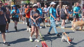 La Grange Pet Parade returns with furry friends and community fun