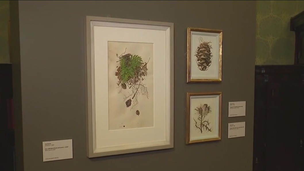 Driehaus Museum shines light on late artist Rory McEwen in new exhibit