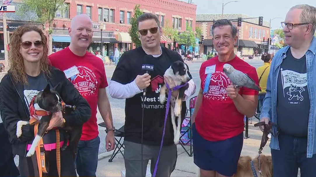 La Grange Pet Parade in Chicago suburbs celebrates all types of animals