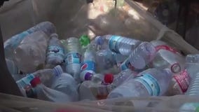 How microplastics are impacting women's health