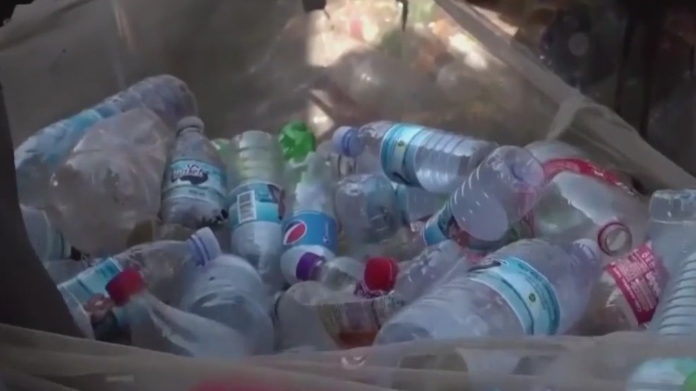 How microplastics are impacting women's health