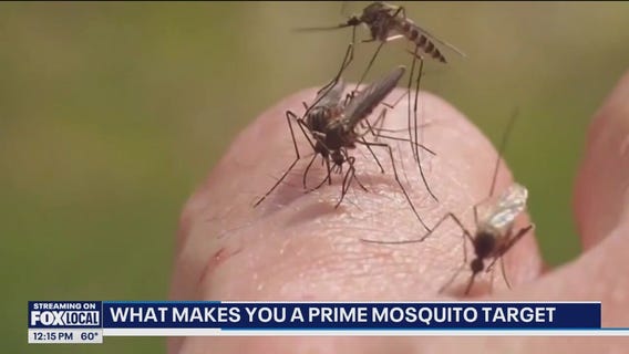 Do you attract an abnormal amount of mosquitos? Here's why