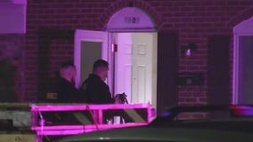 Streamwood stabbing suspect appears in court over sister murders