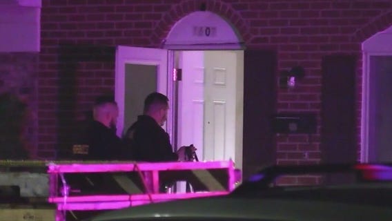 Streamwood stabbing suspect appears in court over sister murders