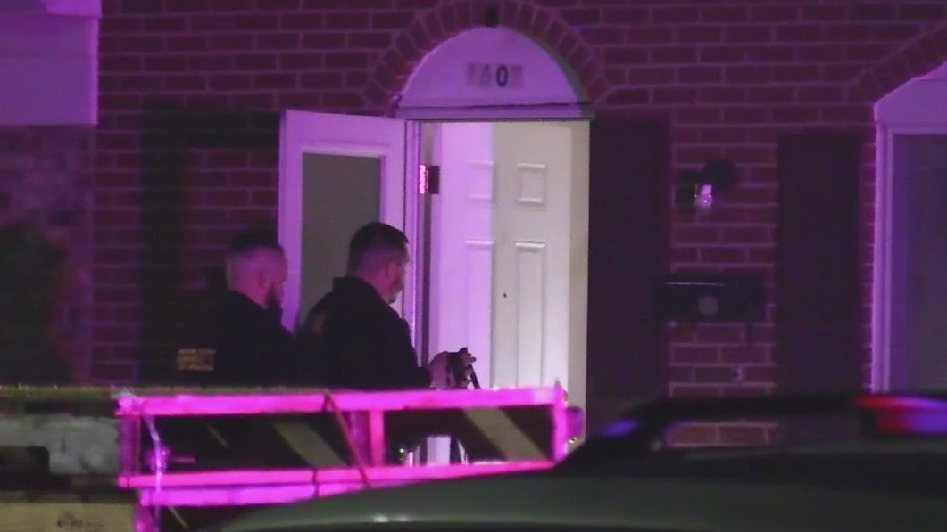 Streamwood stabbing suspect appears in court over sister murders