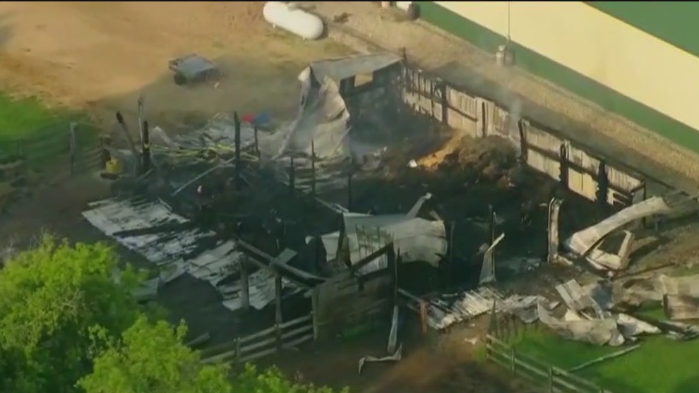 6 horses killed in McHenry County barn fire