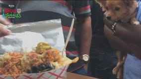 Tacos y Tamales Festival expands in Chicago for 2025