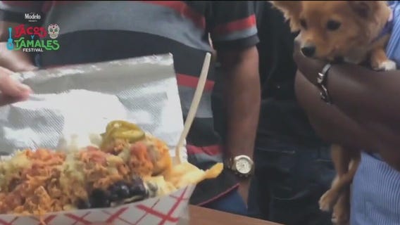 Tacos y Tamales Festival expands in Chicago for 2025