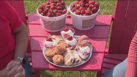 Johnson's Farm is a 'berry' nice place to visit