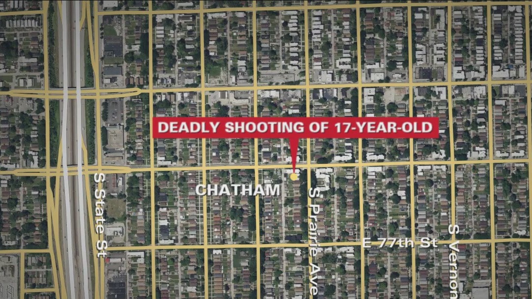Chicago crime: Boy, 17, shot, killed in South Side drive-by, police say