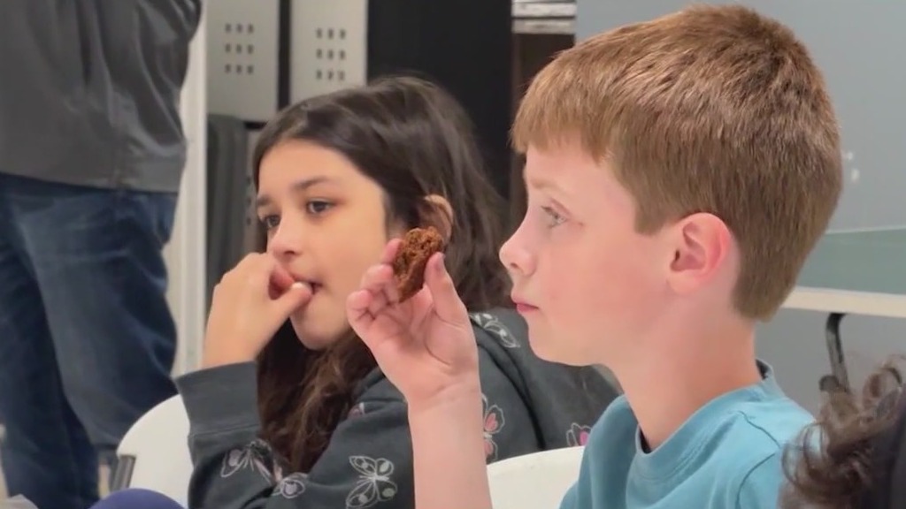 Make a difference this summer with the Greater Chicago Food Depository