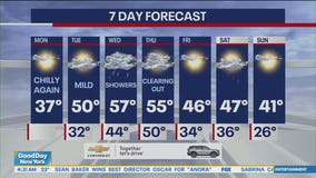 NYC weather forecast