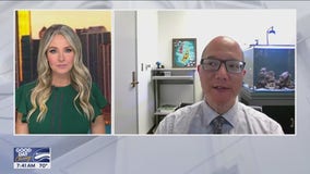 How dogs could help cure cancer: Inside the groundbreaking research at U of I