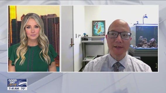 How dogs could help cure cancer: Inside the groundbreaking research at U of I