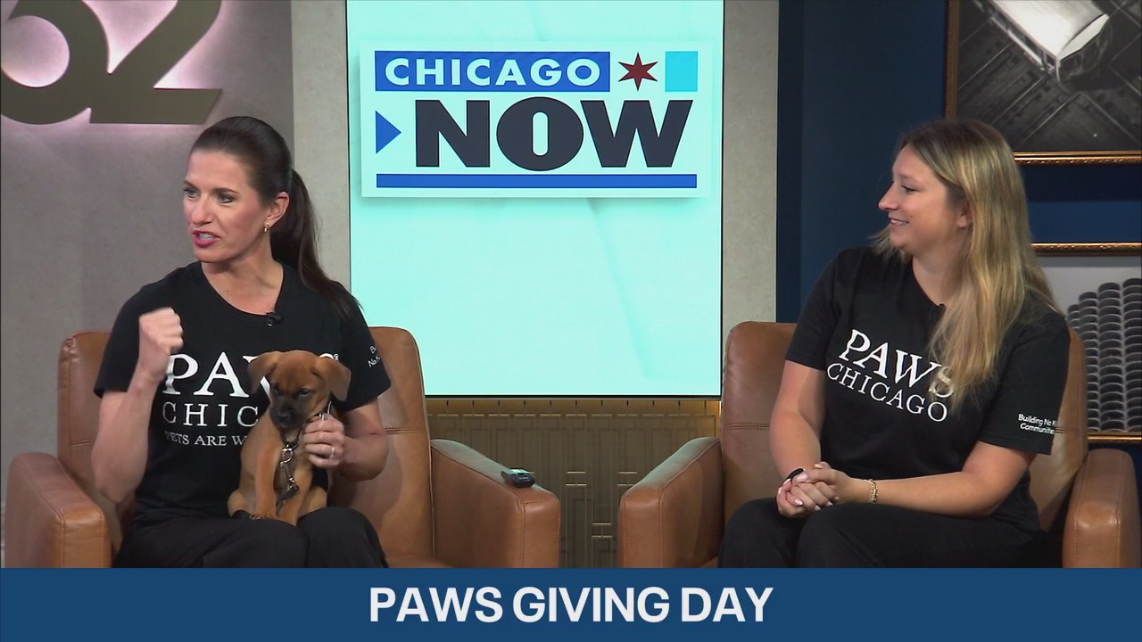 Make tails wag by supporting PAWS Chicago's annual giving day | Chicago NOW