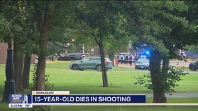 15-year-old killed in Little Village shooting