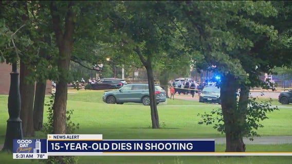 15-year-old killed in Little Village shooting