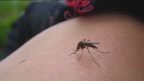 West Nile Virus cases reported in Illinois, other states