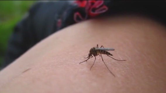 West Nile Virus cases reported in Illinois, other states