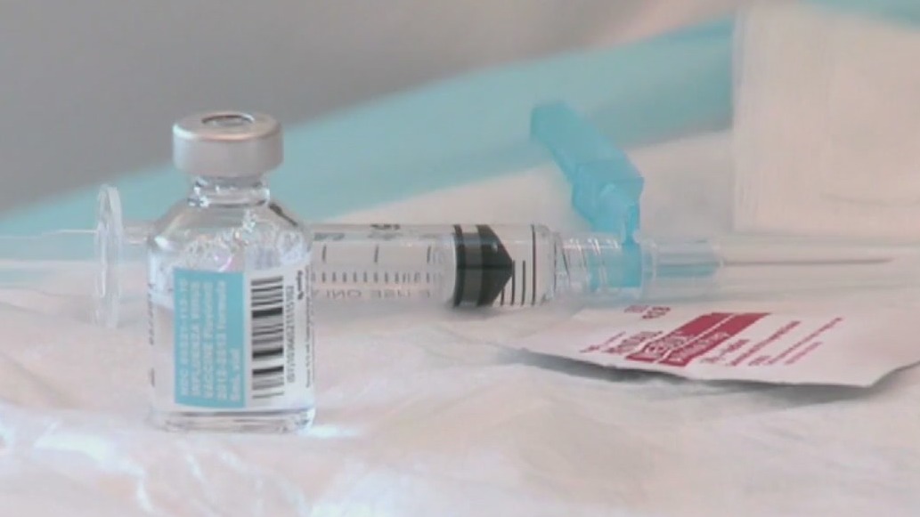 U.S. panel lays out flu vaccine recommendations