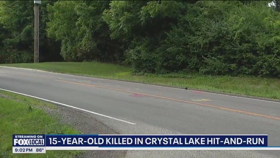 15-year-old killed in Crystal Lake hit-and-run