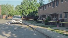 Chicago crime: 5 people shot in Riverdale