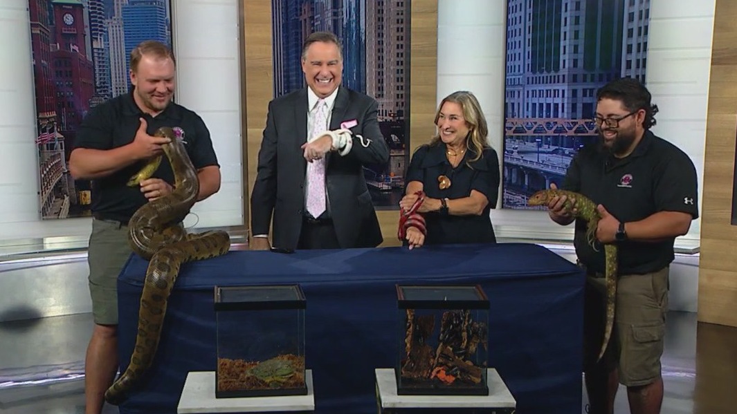 Snakes in the studio?! Inside the Reptile Roadshow at North Riverside Park Mall