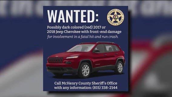 Suspect in fatal Chicago area hit-and-run found dead, officials say