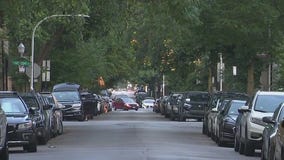 Armed males try to rob, shoot woman, 24, on Chicago's North Side