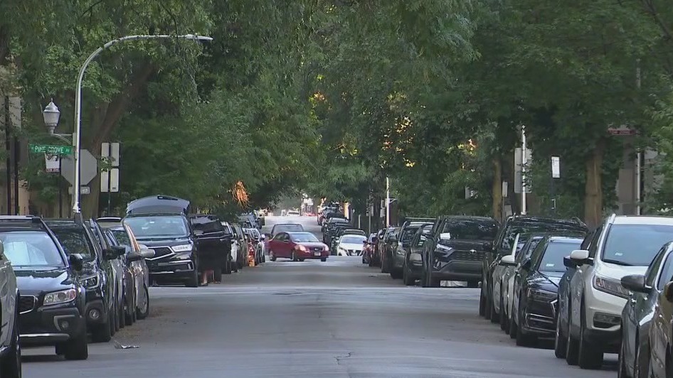 Armed males try to rob, shoot woman, 24, on Chicago's North Side