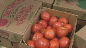 Walmart recall, Kraft-Heinz possible split & tomato prices could jump | Business News