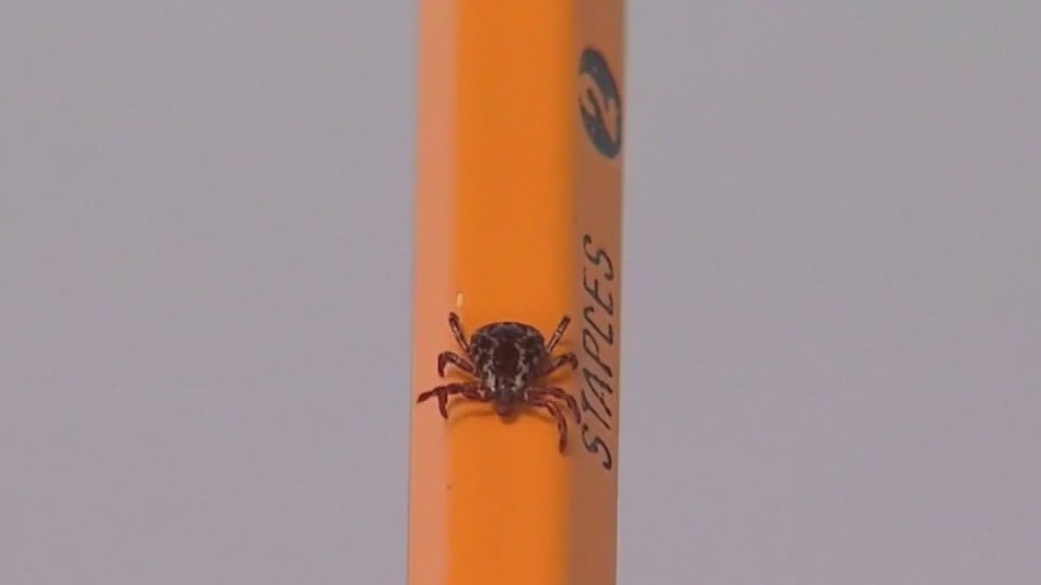 Emergency room visits for tick bites hits all-time high