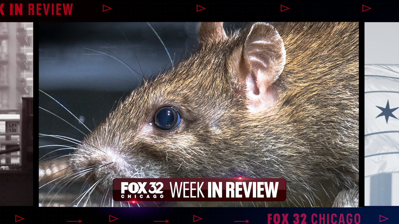 Week in Review: Pension payment debate, Chicago's rat solution & Morgan Freeman's blues show
