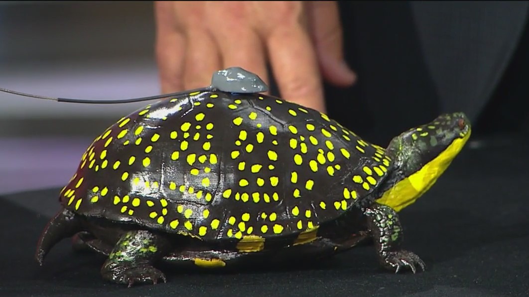 Cocktails and Conservation: DuPage County spends time in nature with a good drink