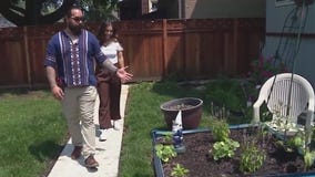 Local Marine veteran finds healing from PTSD through backyard gardening